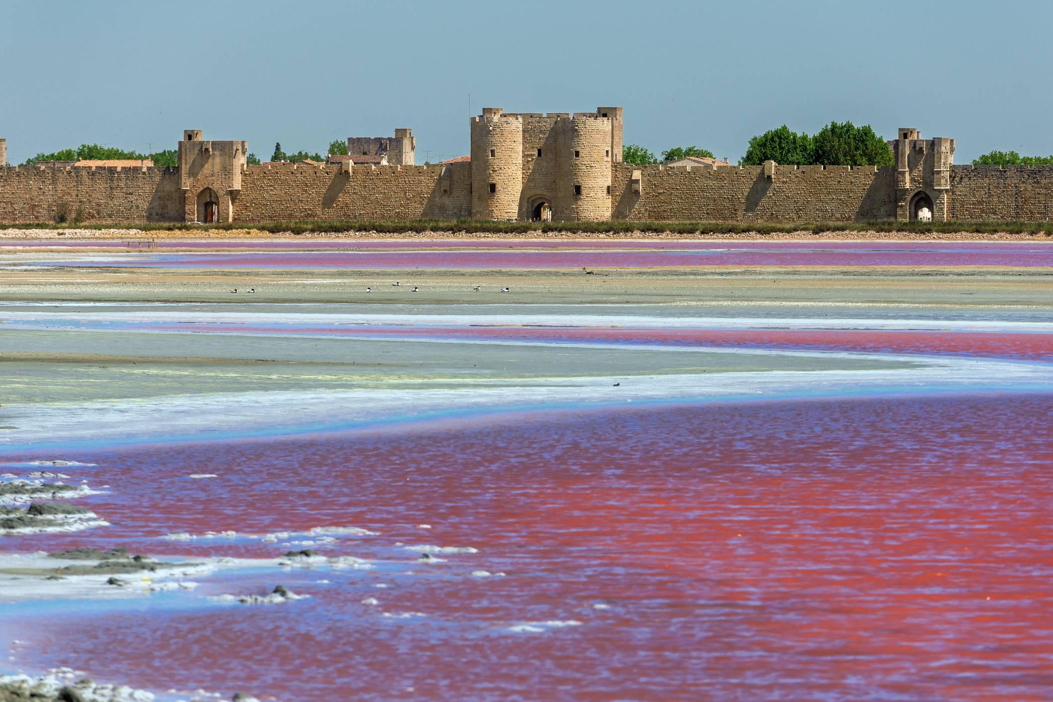 Aigues Mortes 30220 Aigues Mortes Maps KLTG