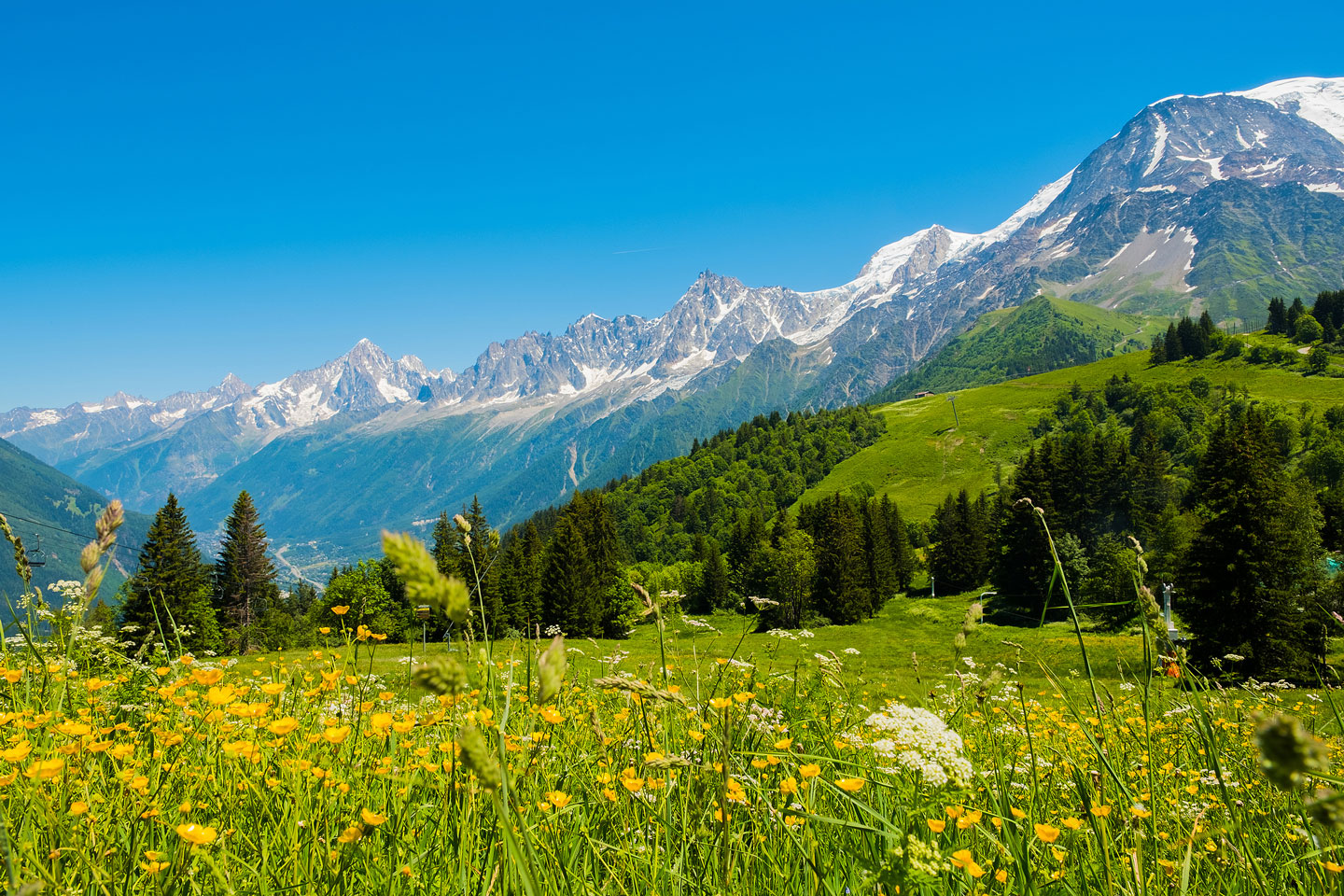 Train vers la montagne