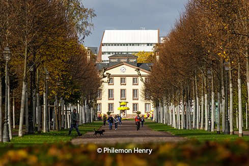 © Philemon Henry 