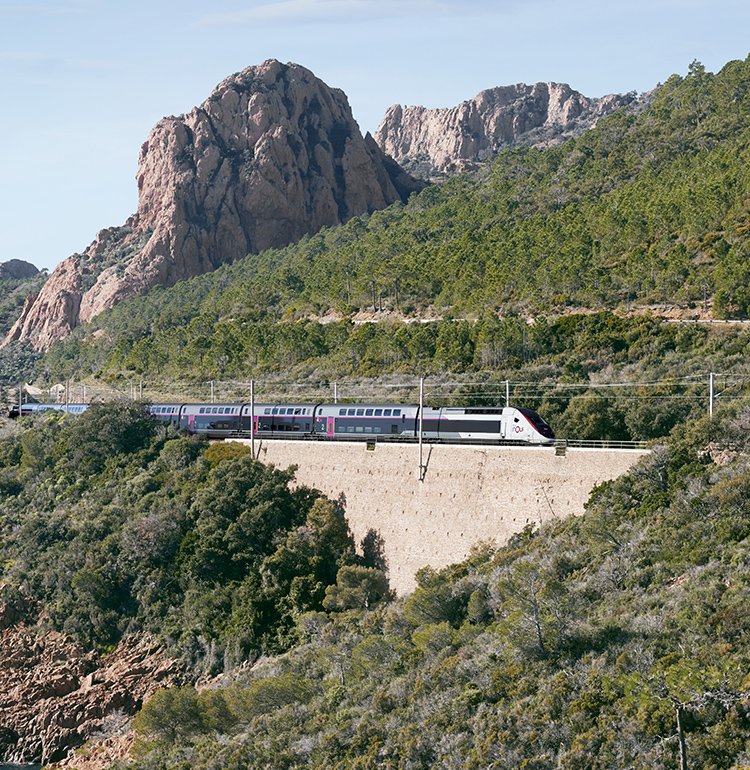 Viajemos juntos hacia un futuro más verde