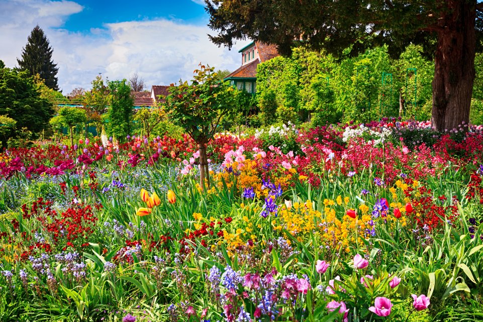 Fleurs dans un jardin Spring garden giverny 