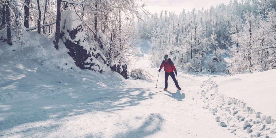 ski nordique forêt