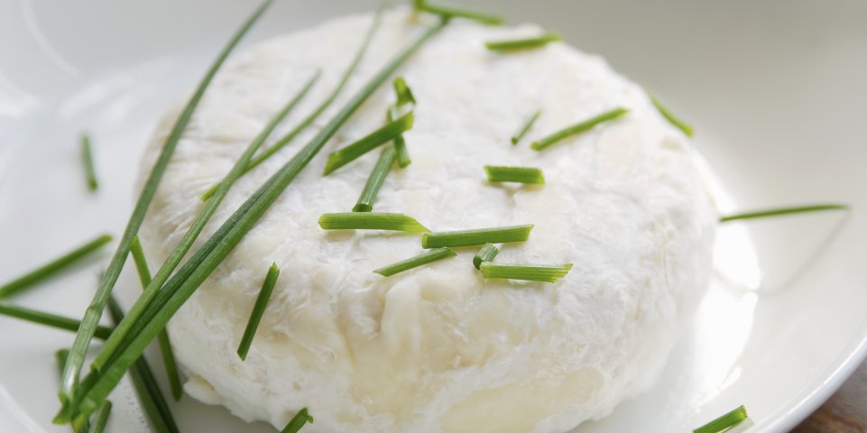 Saint marcellin fromage