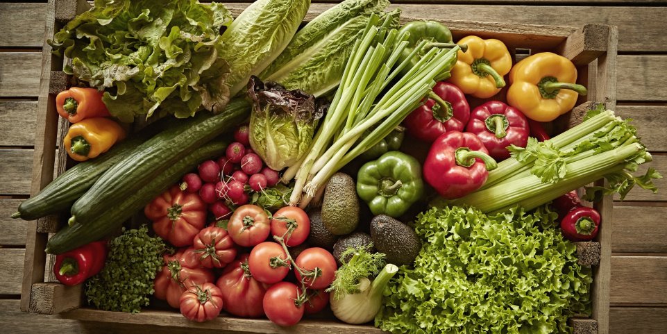 Cageot de légume - bio - gastronomie - restaurant