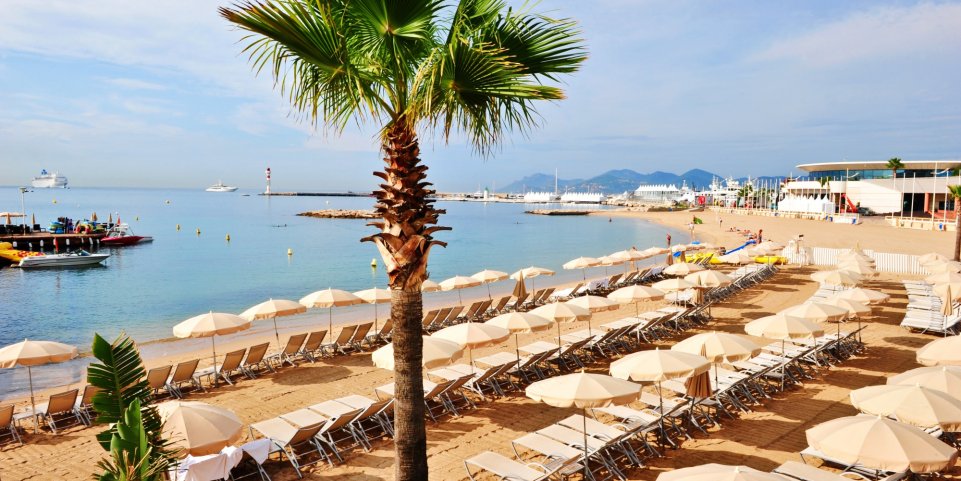plage cannes Côte d'Azur Méditerranée palmier