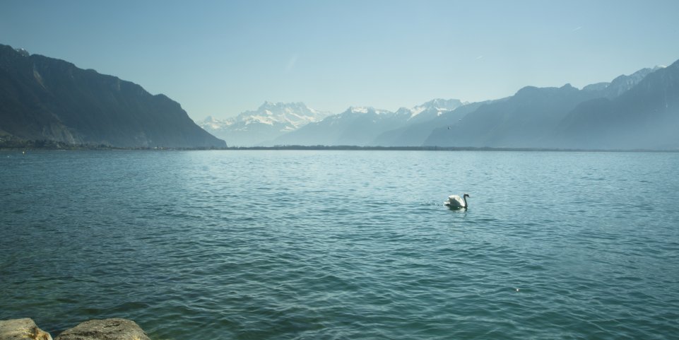 Lausanne vue lac léman montagnes