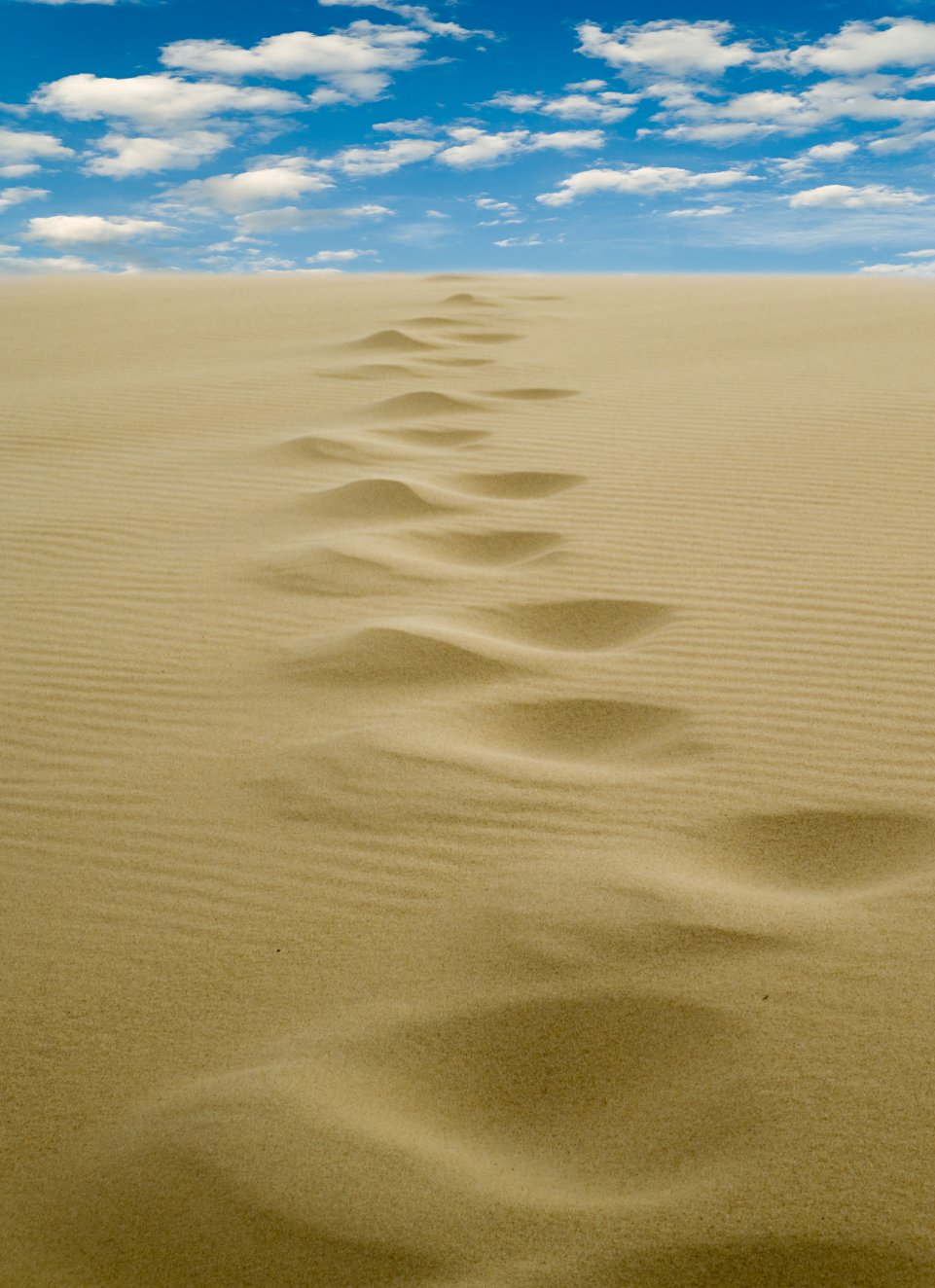 Pas dans le sable de la dune du Pilat 