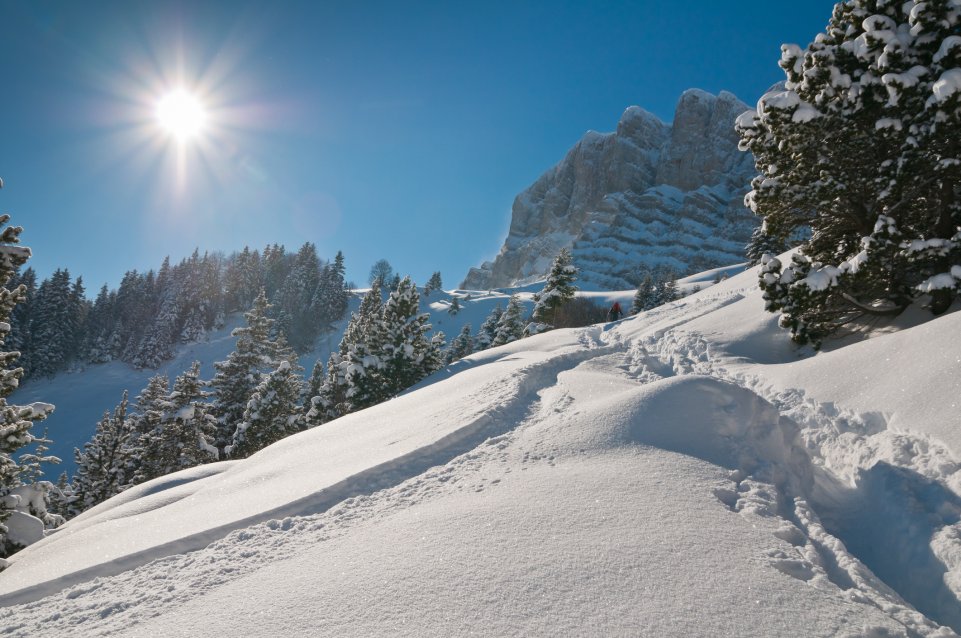 Paysage enneigé en montagne