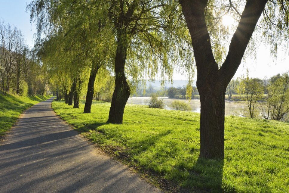Une promenade au bord de l'eau. 