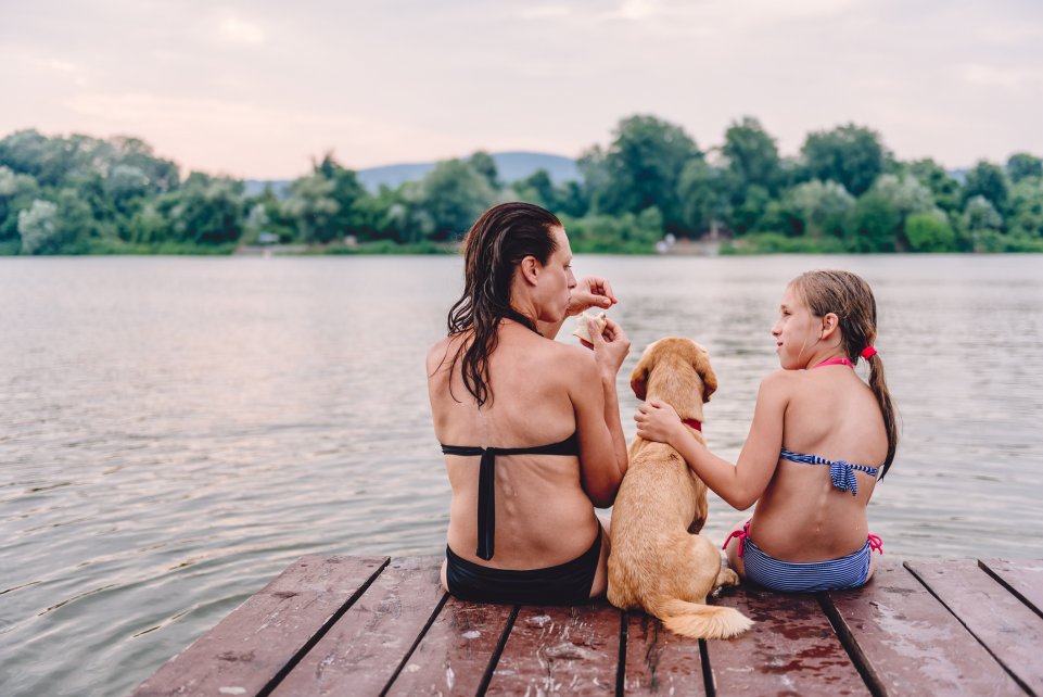 Au lac avec le chien 
