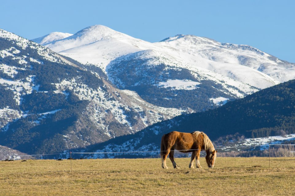 Paysage de cerdagne