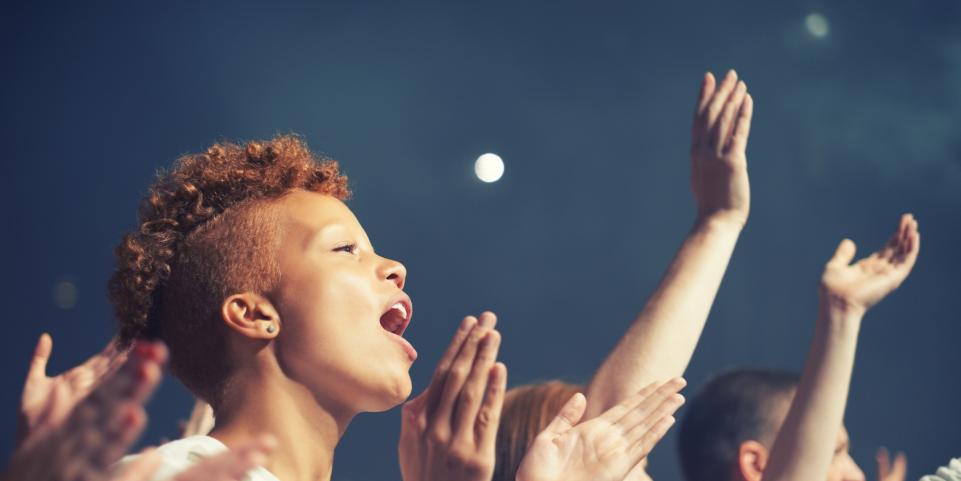 Public devant un concert en plein air