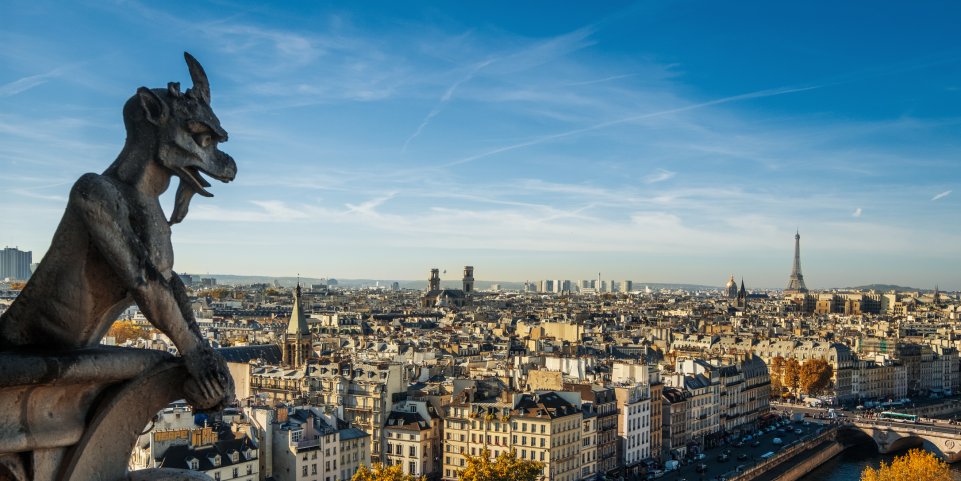 Vue sur Paris de Notre-Dame