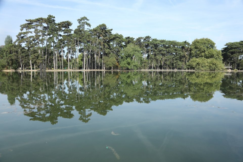 Bois de Boulogne, lac inférieur