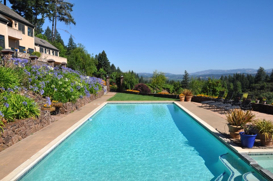 Piscine d'hotel avec une vue sur les vignobles
