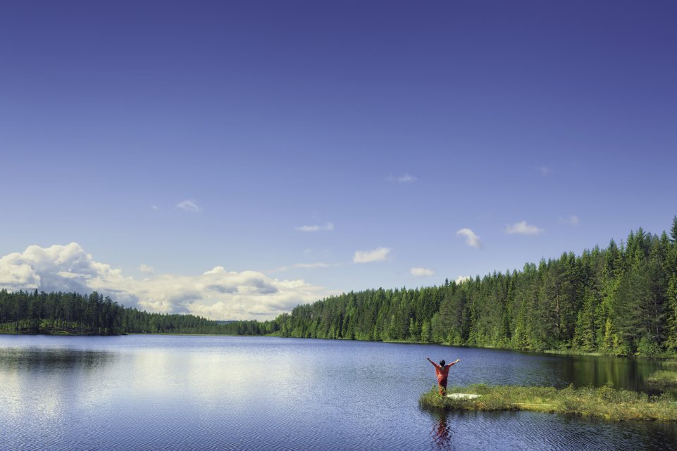 lac bordé sapin suède