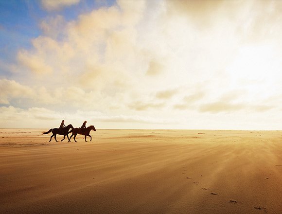 Le touquet chevaux plage