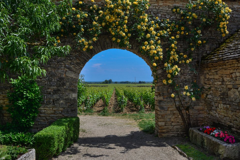 Meursault, Bourgogne