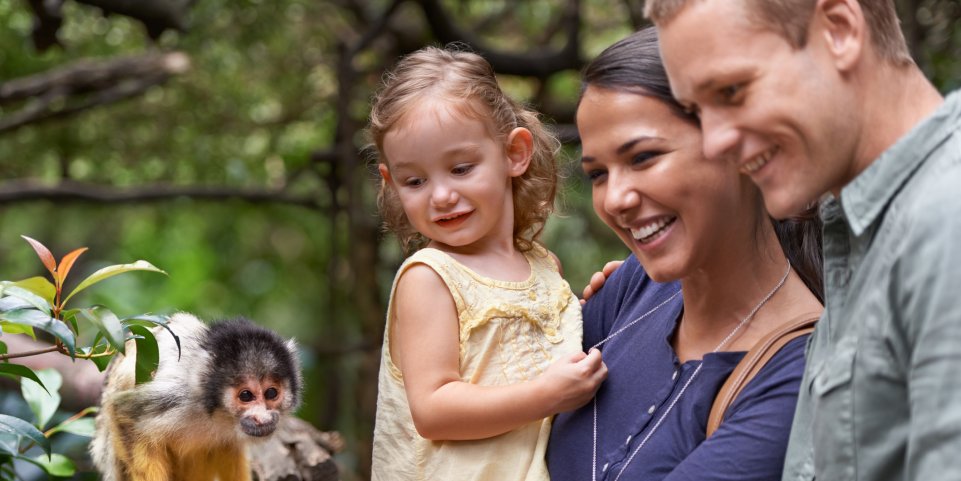 Famille au zoo