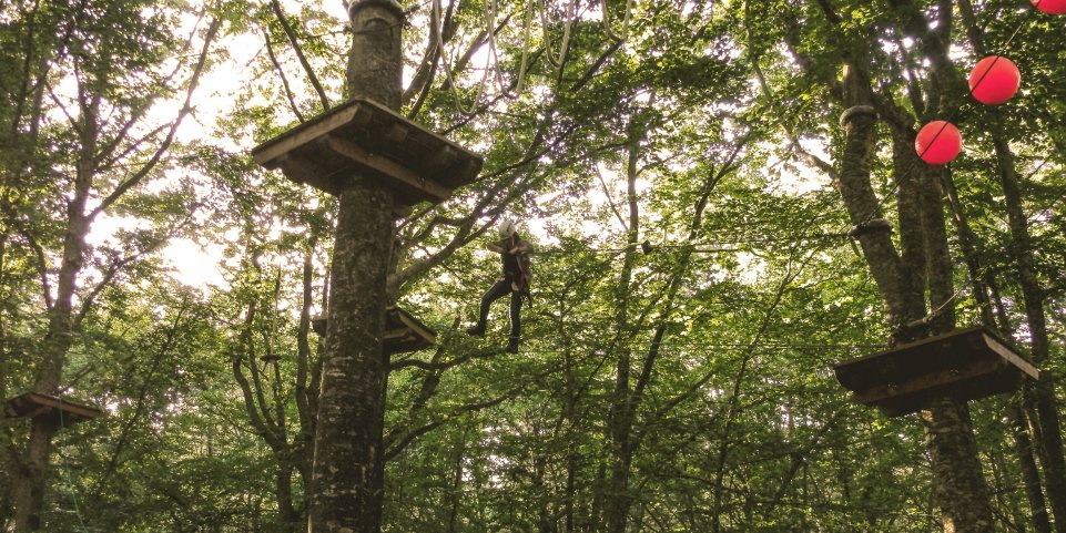 forêt accrobranches