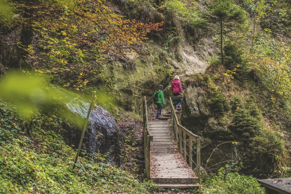 Les gorges du Gottéron Fribourg Suisse
