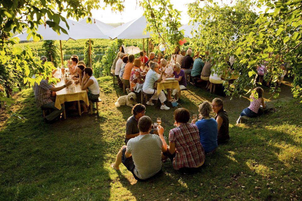 Vignoble à Stuttgart