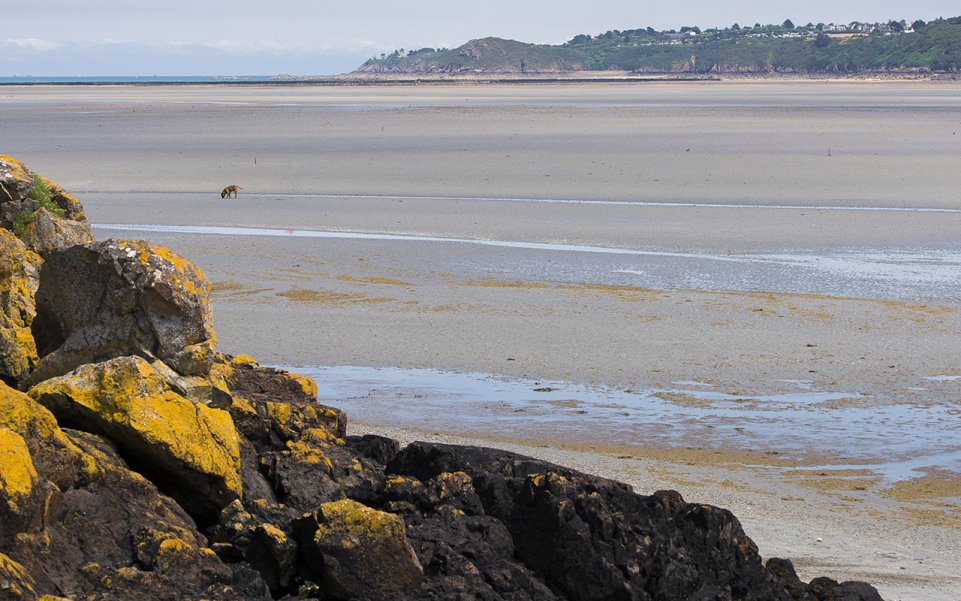 La plage des Rosaires à Plérin