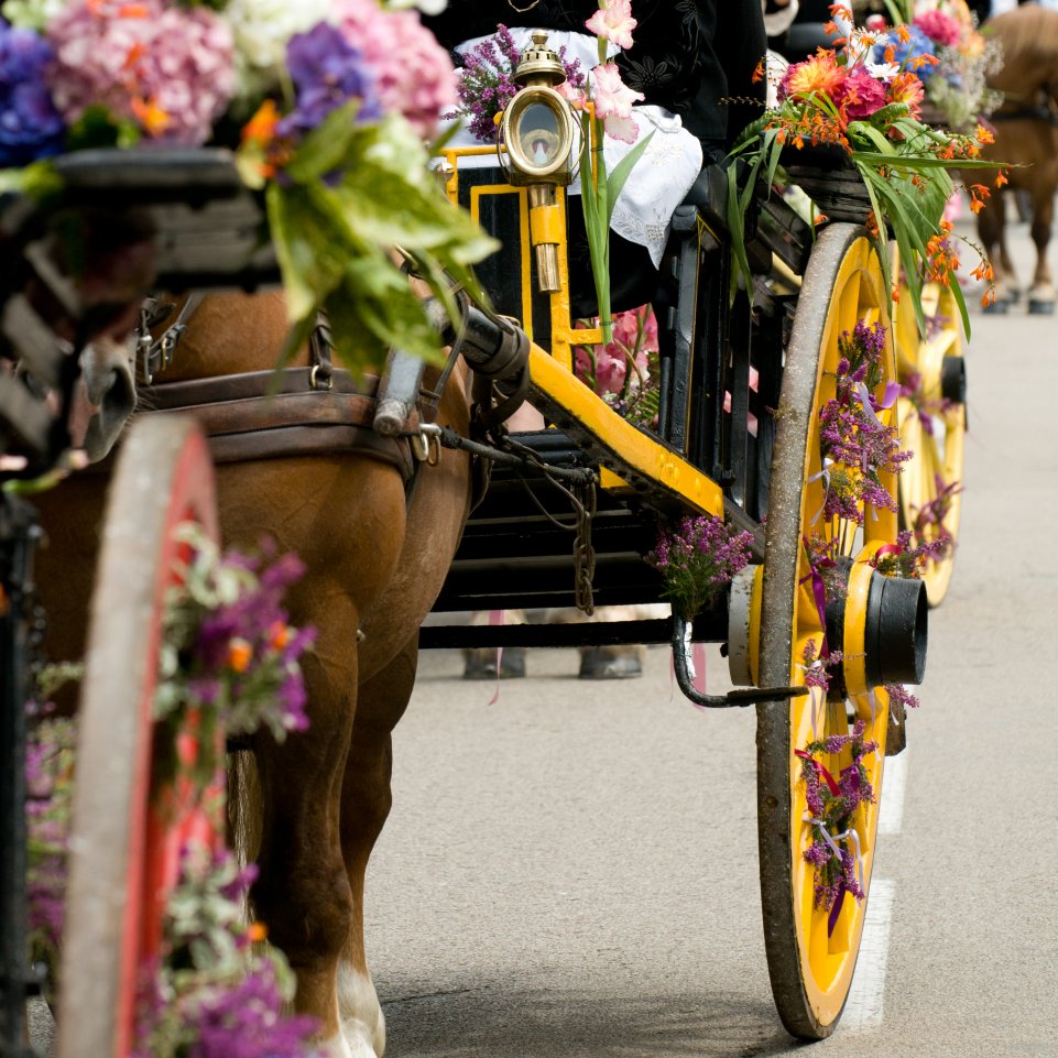 roulotte pleine de fleurs
