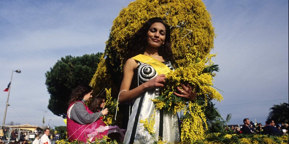 Mandelieu-la-napoule mimosa femme
