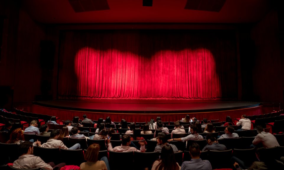 Le public dans une salle de spectacle