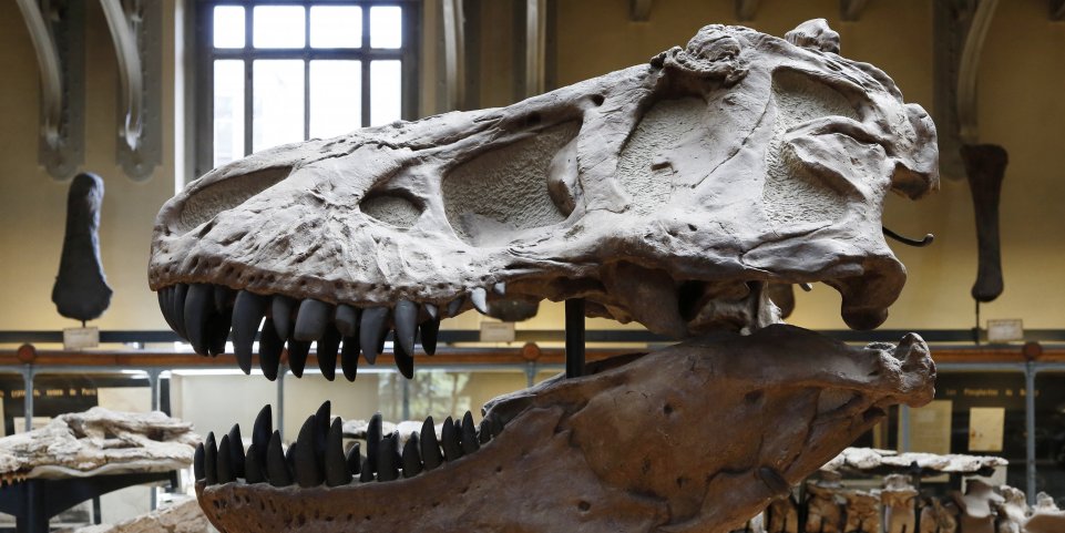 Promenade nocturne au Jardin des Plantes à Paris - SNCF Connect