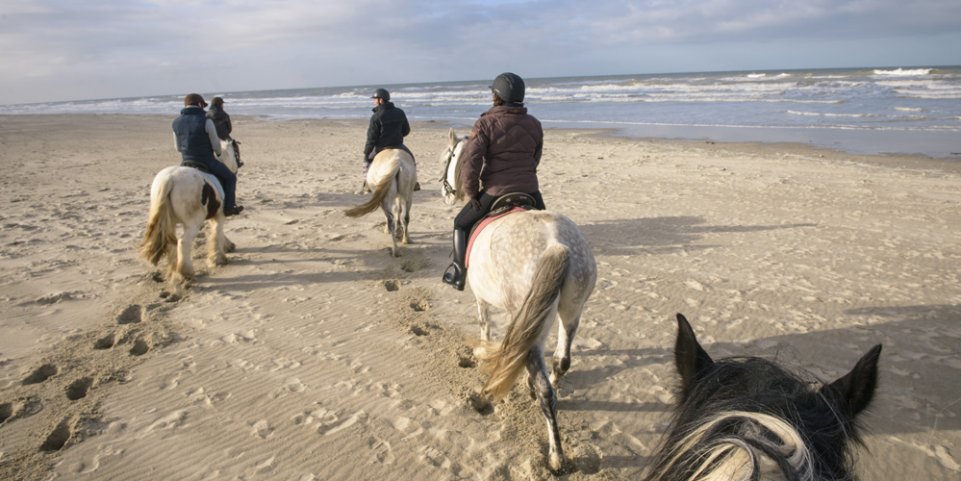 Balade à cheval au Touquet-Paris-Plage