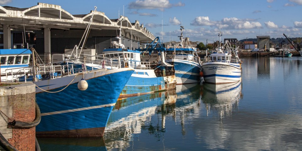 La criée du port de Dieppe