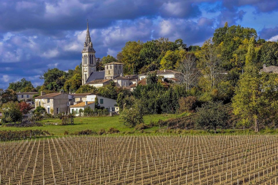 Saint-Michel-de-Fronsac vignoble bordeaux vignes