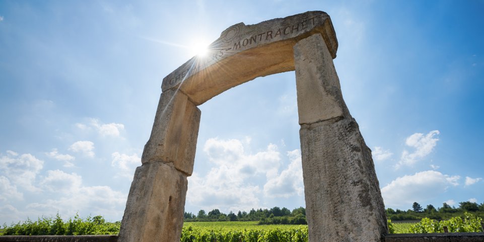 Chassagne-Montrachet