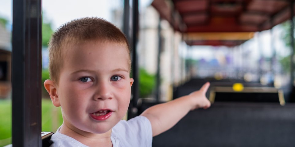 Petit garçon dans un train touristique
