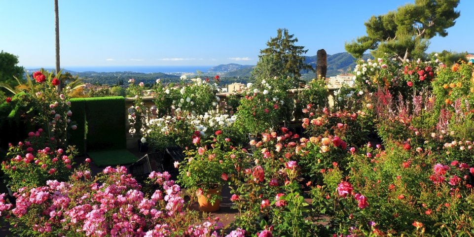 jardin fleurs à grasse