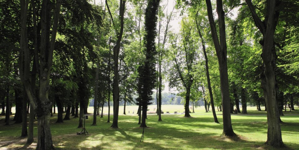 Domaine Charamande