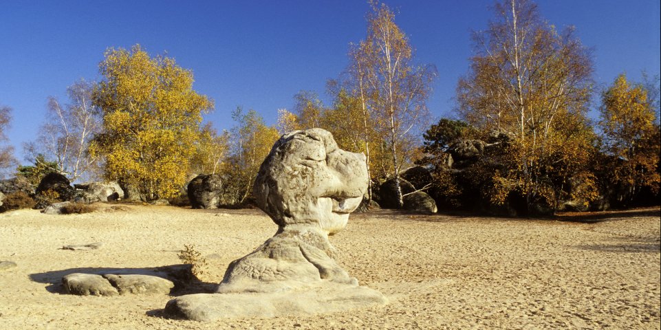 Rocher "Bilboquet" aux Sables du Cul du Chien en Forêt de Fontainebleau