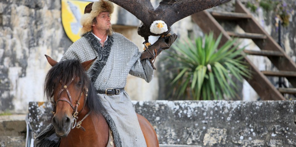Spectacle de rapaces à Provins