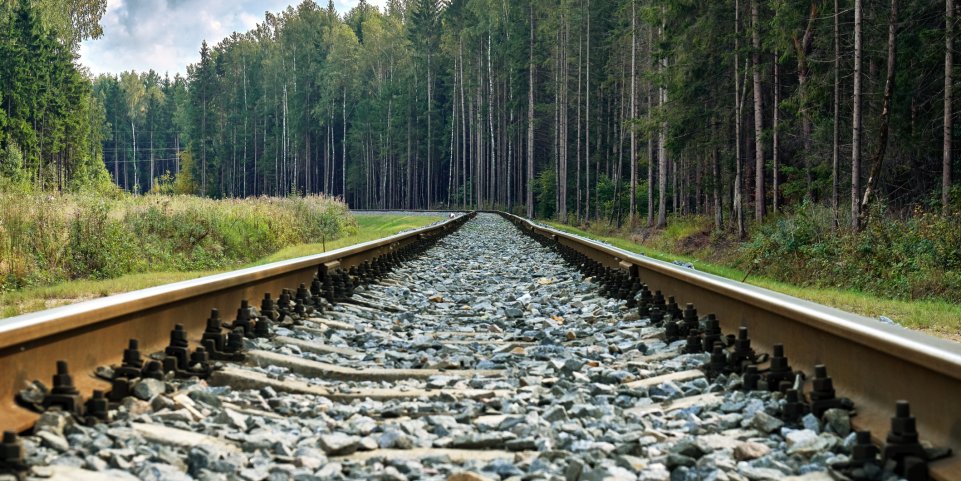 Rails de train dans la nature