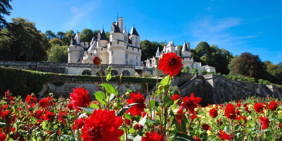 Des fleurs au château d'Ussé