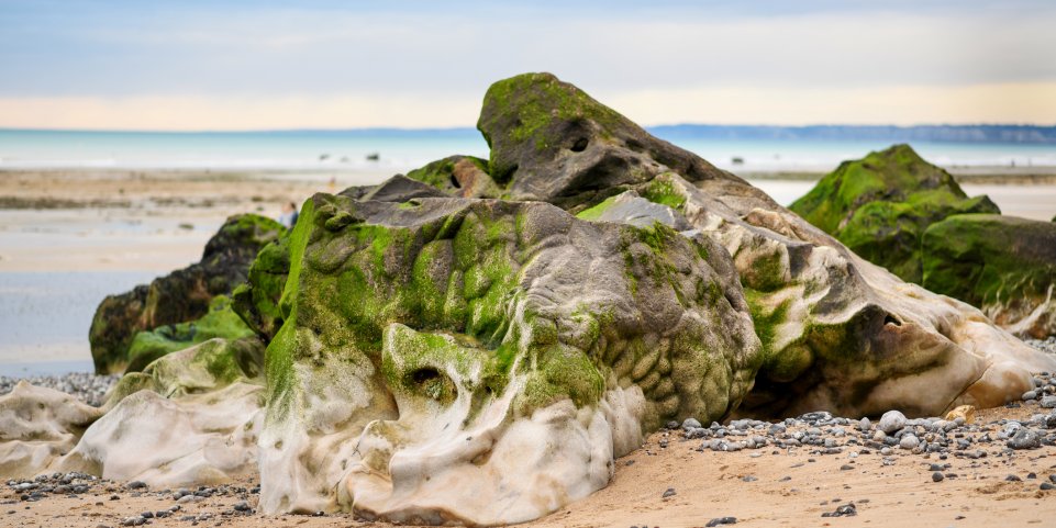 Les 8 Plus Beaux Paysages A Voir En Normandie Sncf Connect