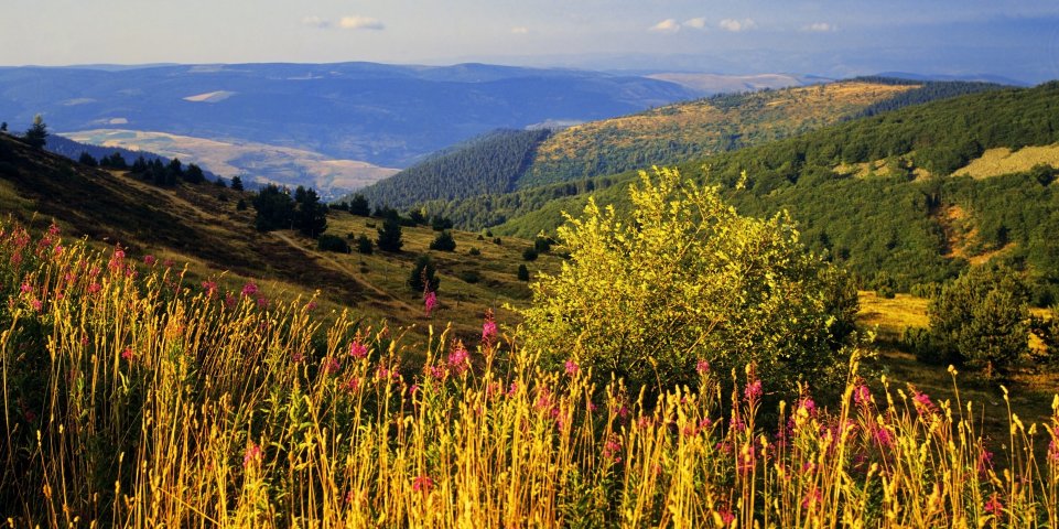 Massif des Cevennes