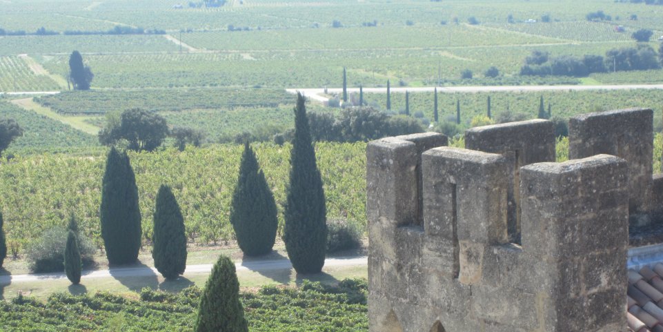 Vignobles Chateauvieux-du-Pape