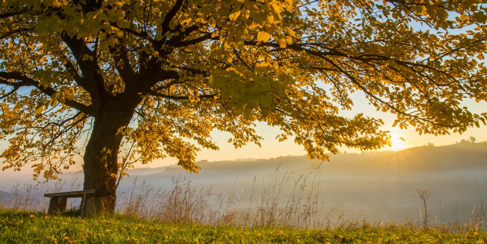 automne