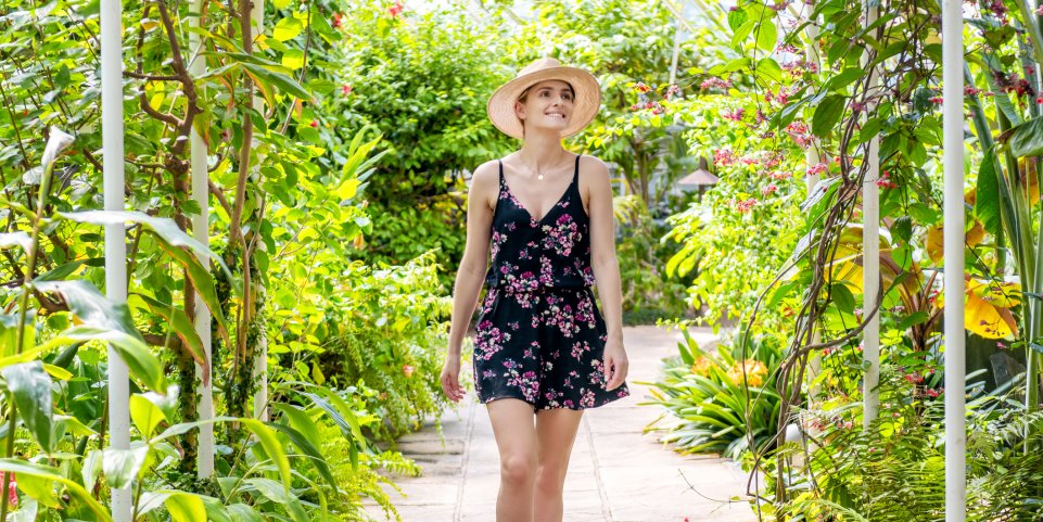 Balade dans une serre tropicale