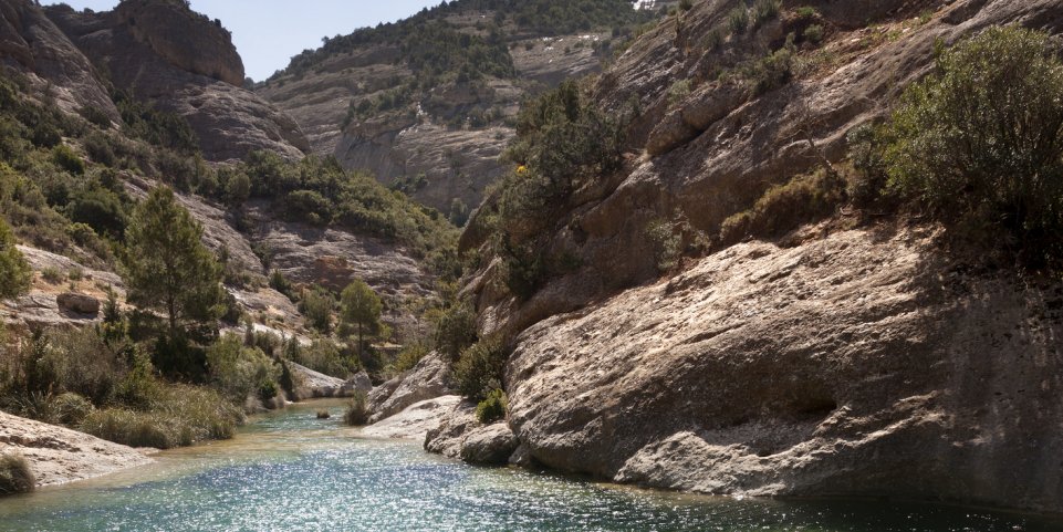 rivière algars