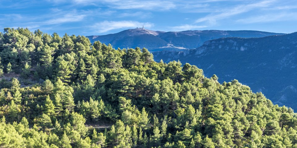 Le parc naturel régional des Baronnies Provençales