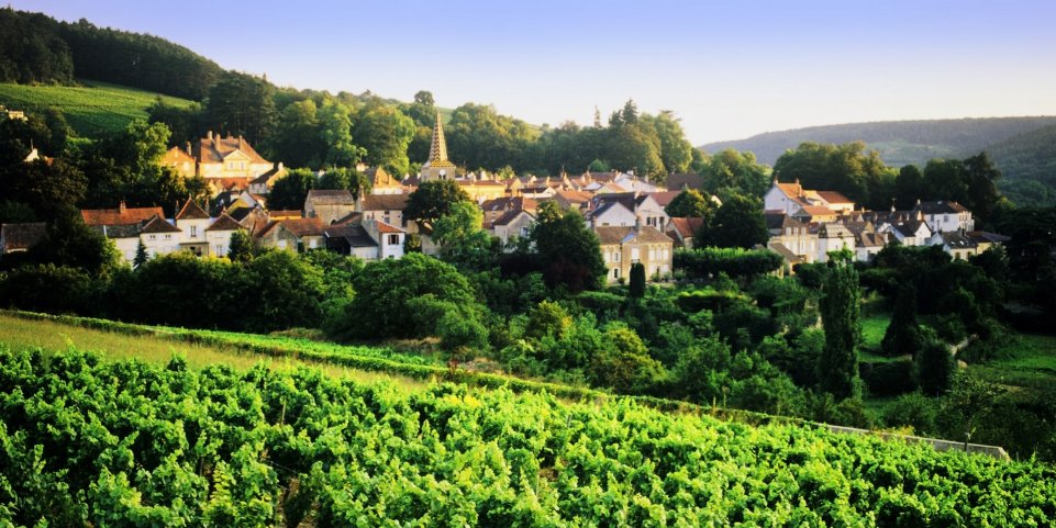 Nuits-Saint-Georges Route des vins Bourgogne